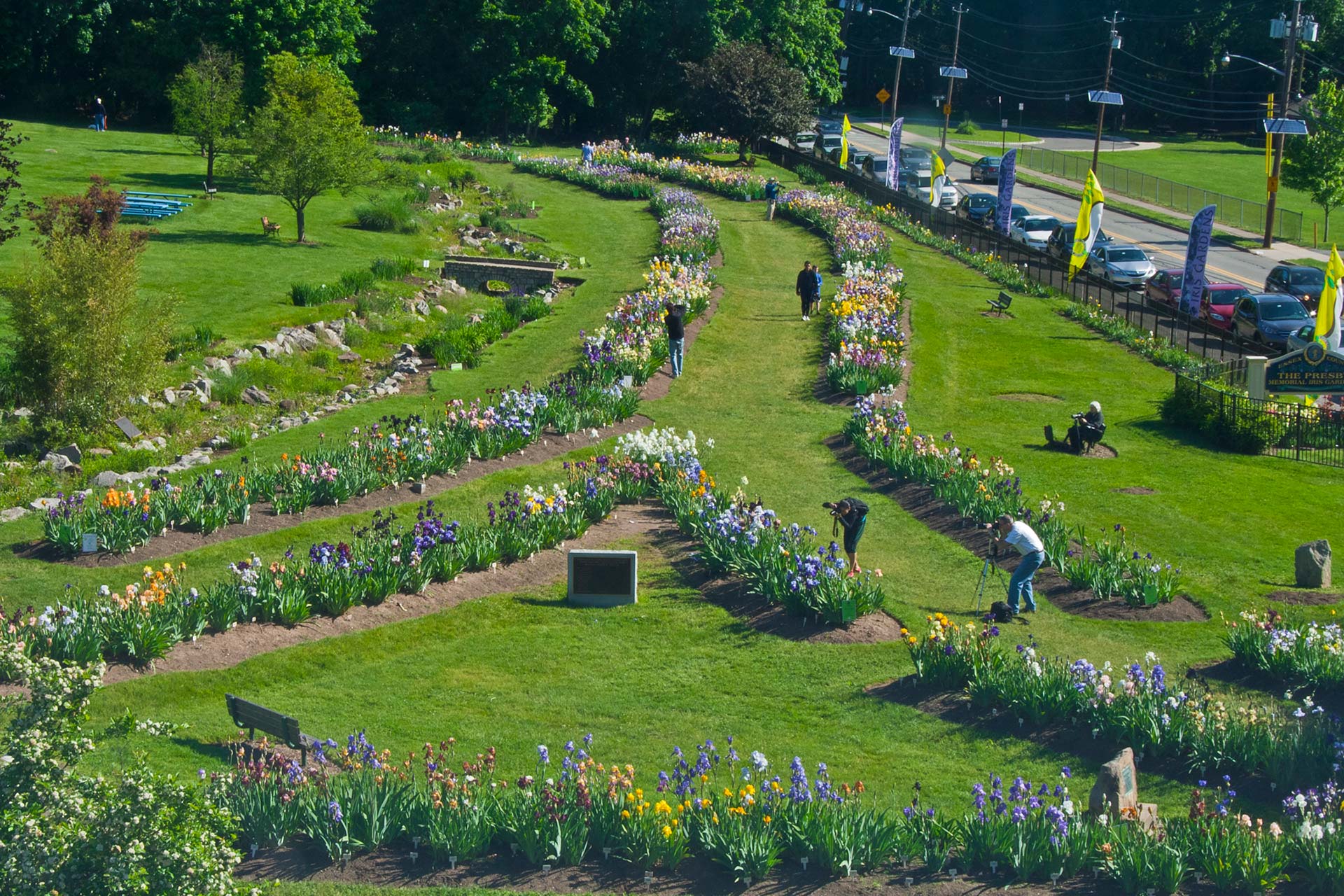Presby Iris Gardens in Montclair New Jersey